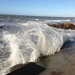 酒店 海滩酒店 滨海布洛涅